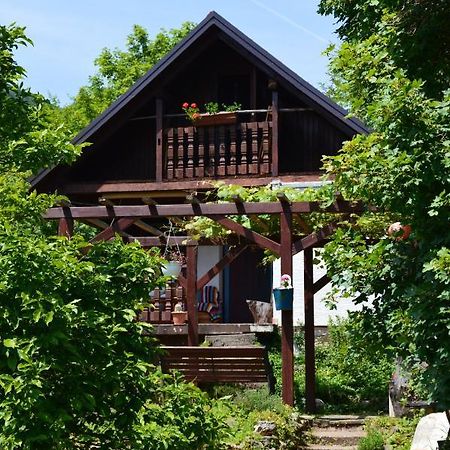 Na Okic - A Private Forest Oasis Sveti Martin pod Okicem 外观 照片