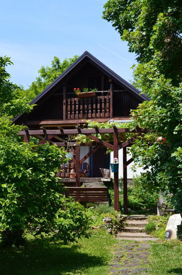 Na Okic - A Private Forest Oasis Sveti Martin pod Okicem 外观 照片