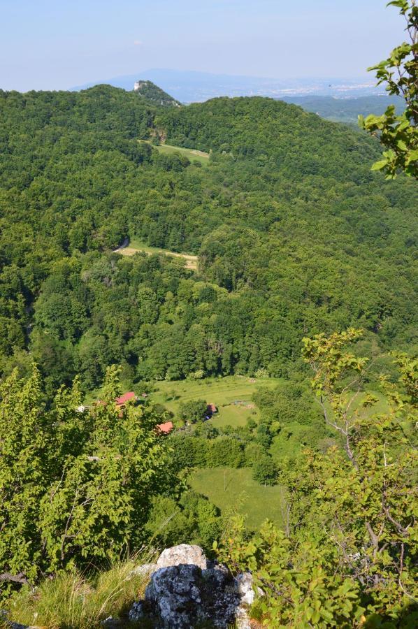 Na Okic - A Private Forest Oasis Sveti Martin pod Okicem 外观 照片